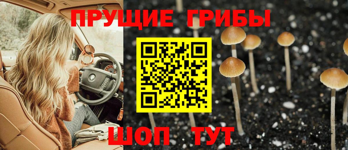 Алексин  Псилоцибиновые грибы ЛСД  Вход с VPN 