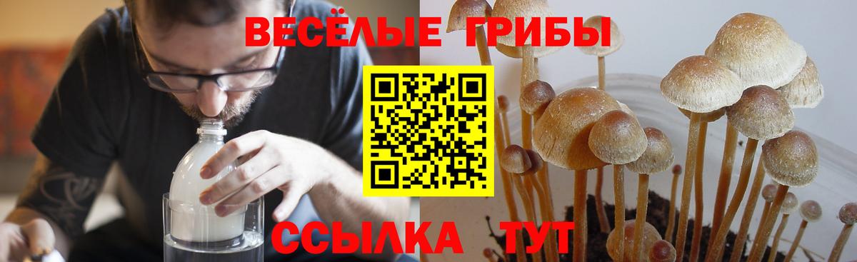 Галлюциногенные грибы прущие грибы Алексин